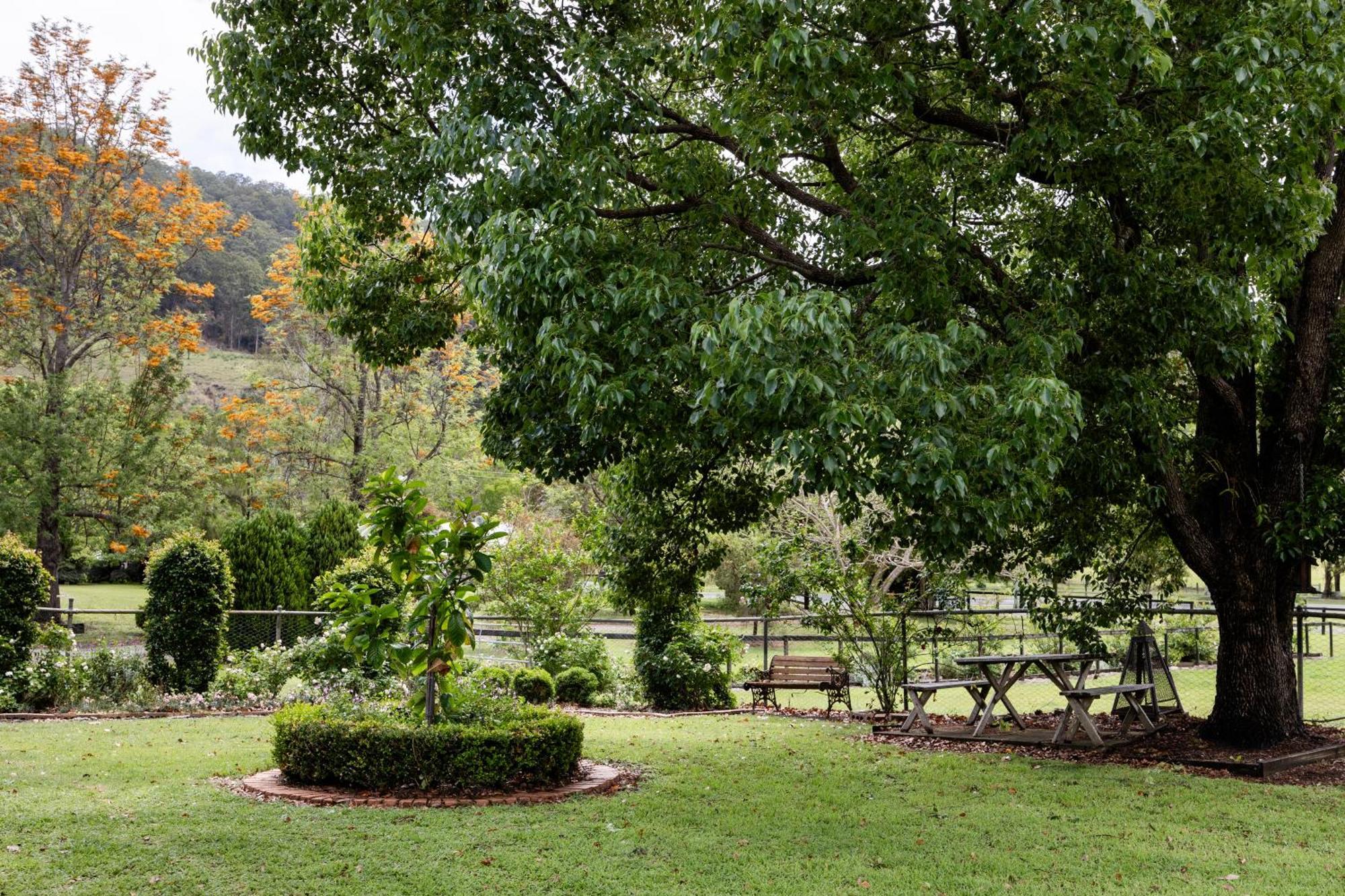 Cottage On Lamington Canungra Exteriér fotografie